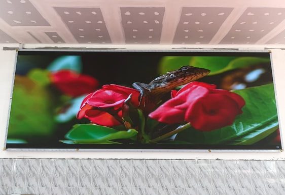 BEHIND EVERY PREMIUM LED DISPLAY
